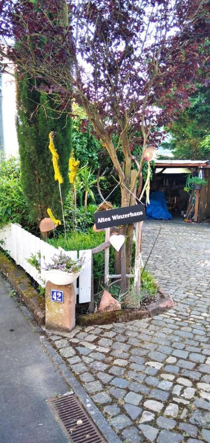 Apartment Altes Winzerhaus Osann-Monzel Exteriör bild